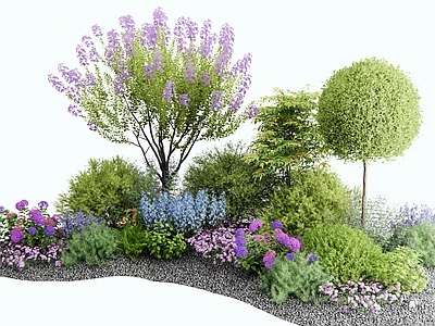 灌木 花草组合 花境 植物堆 植物景观 灌木球