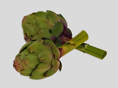酒水食物 蔬菜 洋蓟