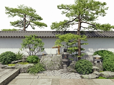 日式禅意庭院小品 植物景观 灌木 松树 水钵 景观石头