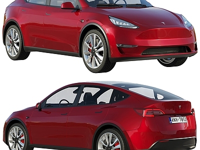 汽车 特斯拉 SUV Model Y