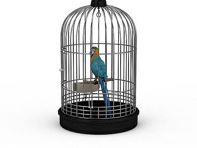 现代爬行类动物 蓝黄金刚鹦鹉