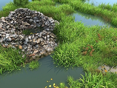 草 草地 沼泽 水草