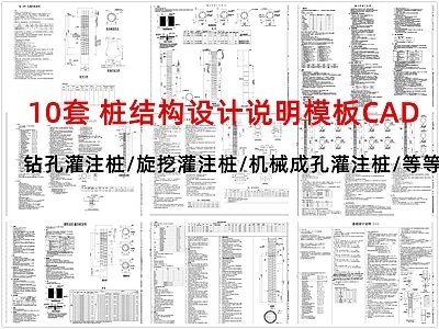 现代设计说明 桩结构设计说明 钻孔灌注桩 旋挖灌注桩 机械成孔灌注桩 施工图