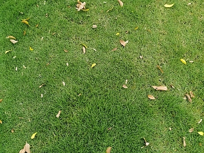 现代街道外景 户外 草坪 绿植