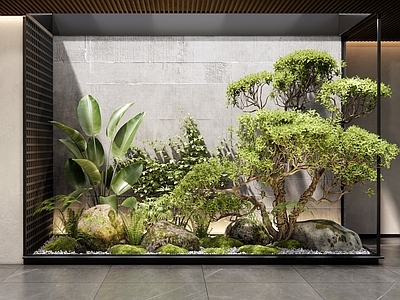 现代室内景观 植物景观 天井庭院 景观石头 苔藓 灌木