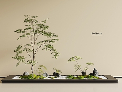 现代其他景观 现代绿植景观