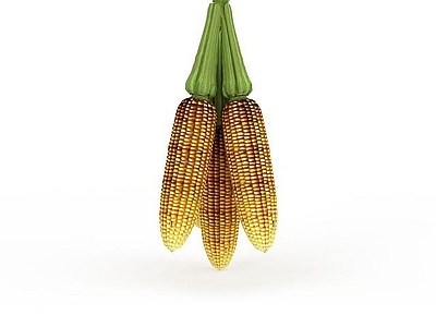 现代玉米摆设品