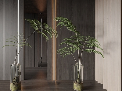 水生植物 现代绿植花瓶 绿植 花瓶 水生植物