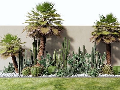 植物堆 仙人掌 棕榈树 热带植物 沙漠植物 多肉植物