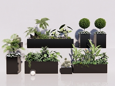 植物组合 盆栽组合 盆栽 花盆 仙人掌 绿植