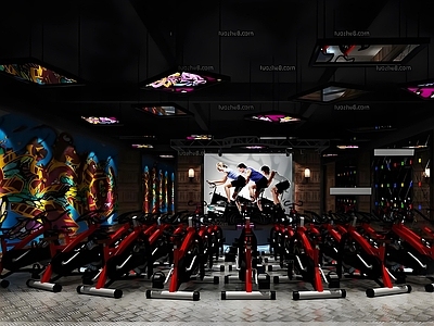 现代健身房 健身房