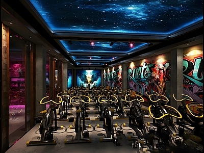 现代健身房 健身房