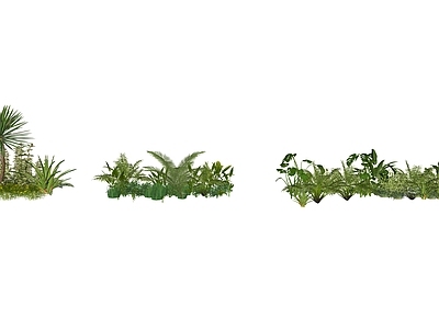 灌木 绿篱 花箱灌木 盆栽灌木