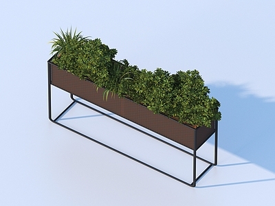 盆栽 盆栽 植物盆栽
