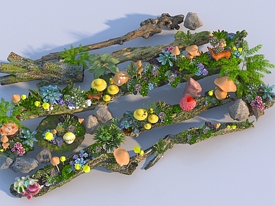 植物堆 现代多肉植物 枯木旧木 森林蘑菇 树桩多肉置石 蘑菇小品