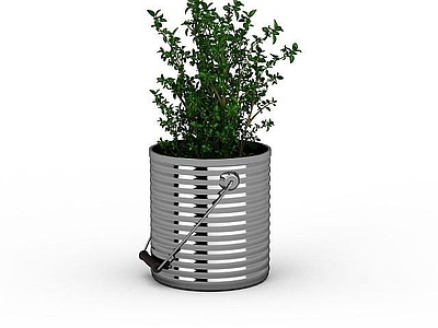 现代小叶植物花卉