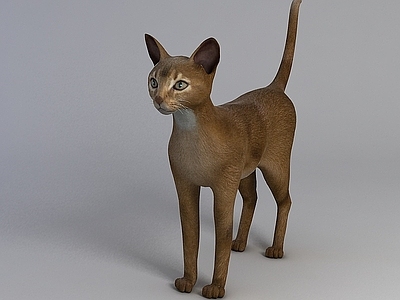 现代玩具猫