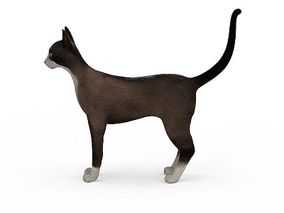 现代玩具猫