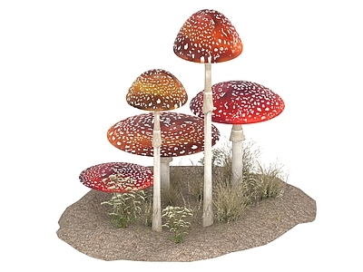 植物堆 蘑菇 毒蘑菇 见手青 菌子