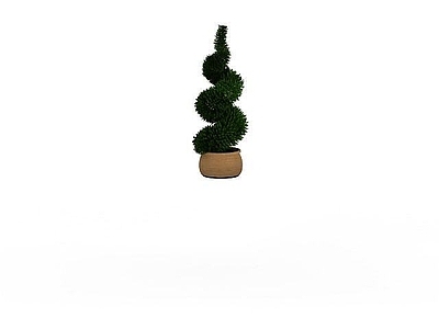 现代螺旋观叶植物