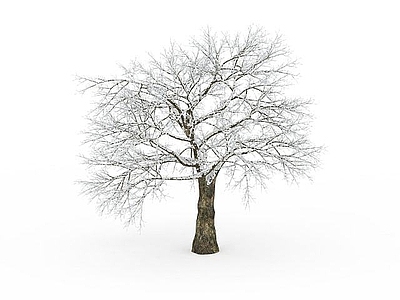 现代挂雪景观树木
