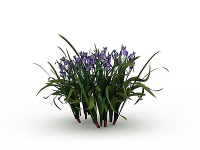 现代紫色花卉