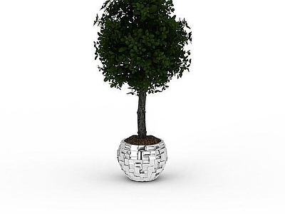 现代佛龛 室内绿植
