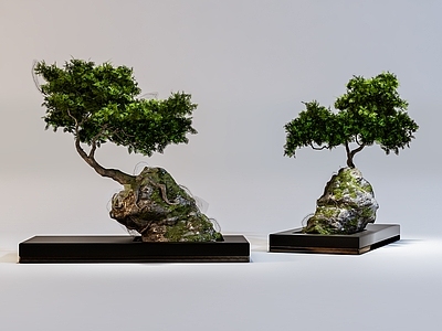 现代新中式花盆 绿色植物 迎客 盆景 景观 室内植物