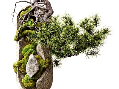 盆景 新中式盆景盆栽 绿植摆件 植物盆景 景观小品 绿植植物