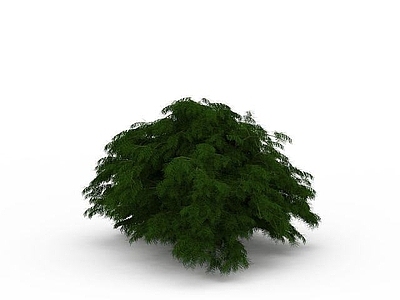现代灌木丛