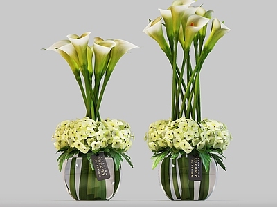 花 花盆 盆景 台面花 植物花 现代花