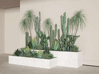 盆栽 盆栽 盆景 植物 绿植 灌木