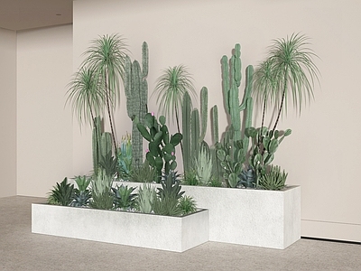 盆栽 植物 绿植 植物组合 灌木 热带植物