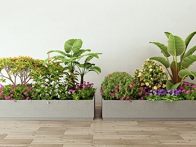 花箱 花草 灌木 植物堆 花境 室内植物
