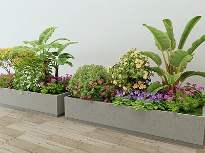 植物堆 花箱花草 灌木 植物景观 外摆花箱