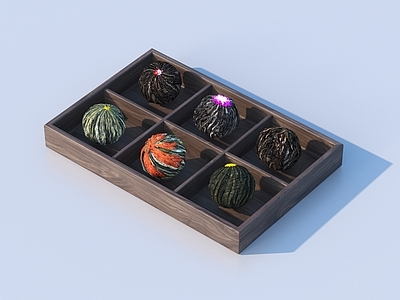 其他办公用品 托盘 茶叶