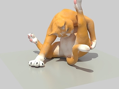 爬行动物 猫 搞笑
