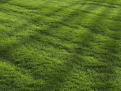 草