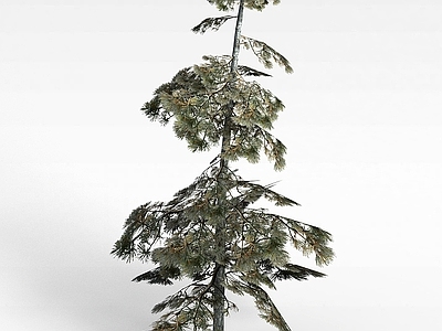 现代办公桌 游戏场景松树