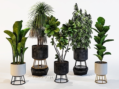 现代新中式花盆 植物 绿植 盆景 绿色盆景 室内绿化