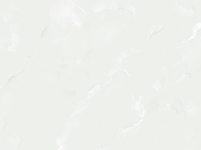现代新中式其他瓷砖 800×800 大理石瓷砖 柔光砖
