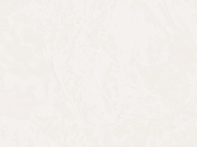 现代新中式其他瓷砖 800×800 柔光砖