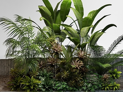 灌木 木 植物 绿化 绿化植物 花园绿化