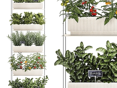 绿植墙