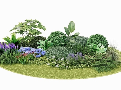 花草 花境 花卉组团 植物组合 花园植物 花园组团