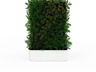 现代室内盆栽植物
