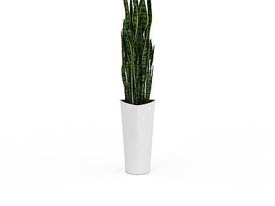 现代室内观赏植物