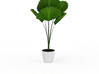 现代人造室内植物