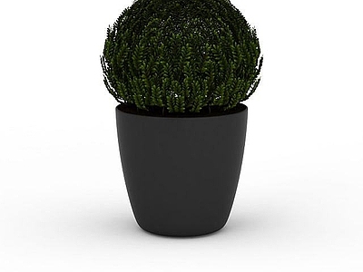 现代球型植物