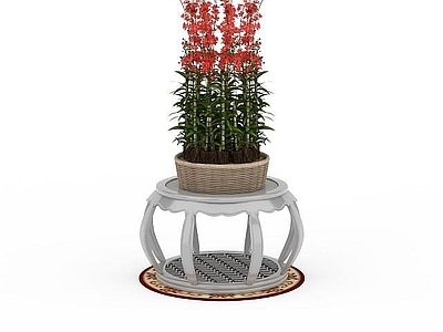 现代红色鲜花盆栽